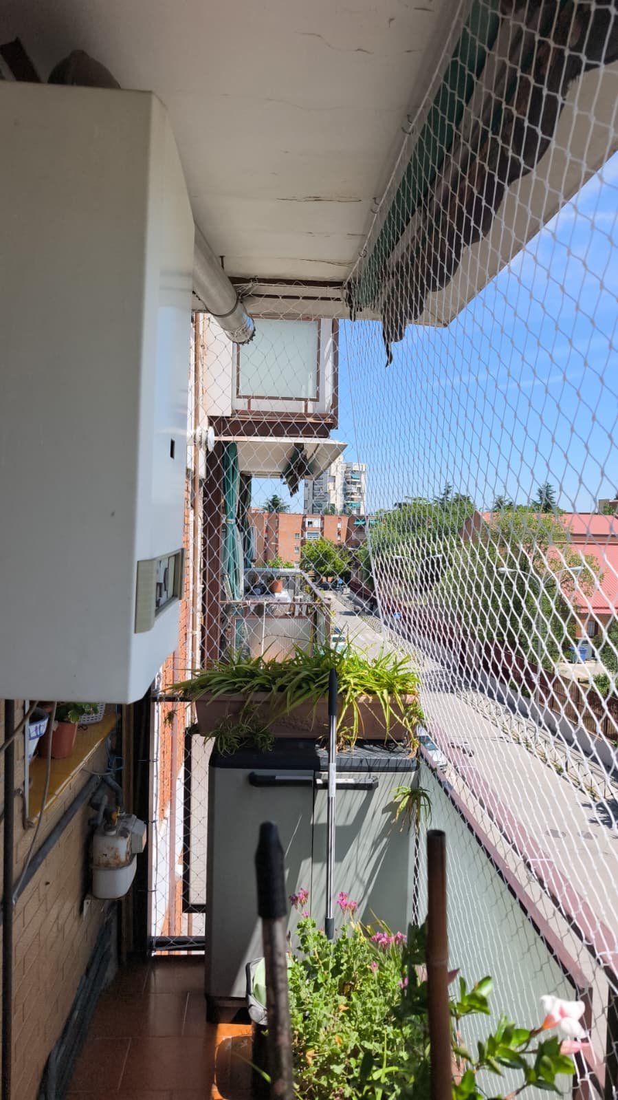 Balcón estrecho con plantas protegido con malla, visto desde dentro de la vivienda